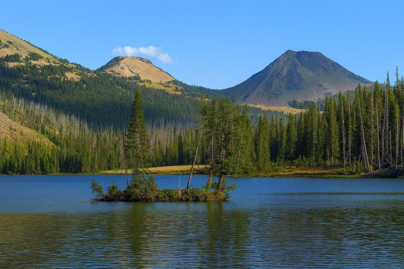 Best Bathroom Remodeling pros in Bozeman, MT