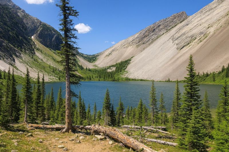 Best Tub To Shower Conversion pros in Bozeman, MT