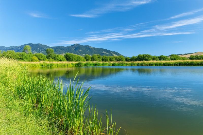 Best Tub To Shower Conversion pros in Belgrade, MT