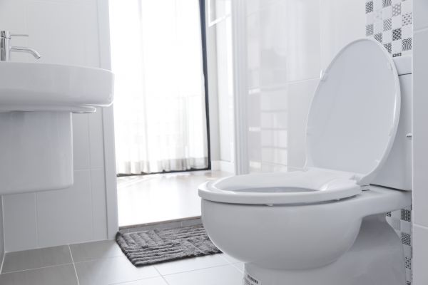 Cost of Toilet Relocation in Bozeman